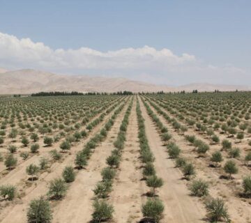 result_سمنان (10)