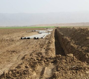 کشت و صنعت اسفراین (10)