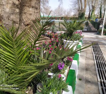 کشت و صنعت باغات آستان قدس رضوی (1)