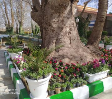 کشت و صنعت باغات آستان قدس رضوی (2)