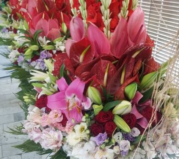 کشت و صنعت باغات آستان قدس رضوی (4)