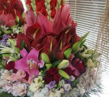 کشت و صنعت باغات آستان قدس رضوی (5)