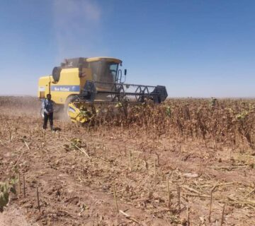 کشت و صنعت تربت حیدریه (9)