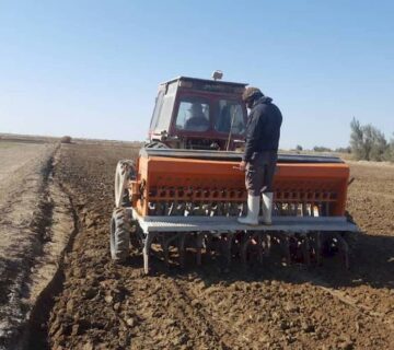 کشت و صنعت جنوب خراسان (42)