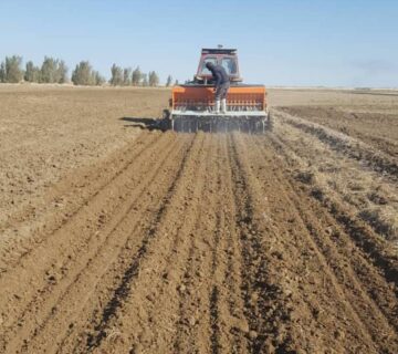 کشت و صنعت جنوب خراسان (43)