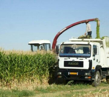 کشت و صنعت سرخس (25)