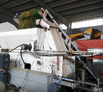 کشت و صنعت سرخس (32)