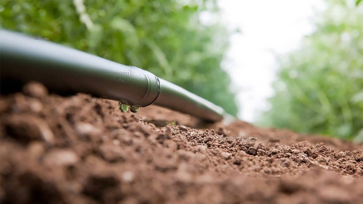 Irrigation System Guide transformed