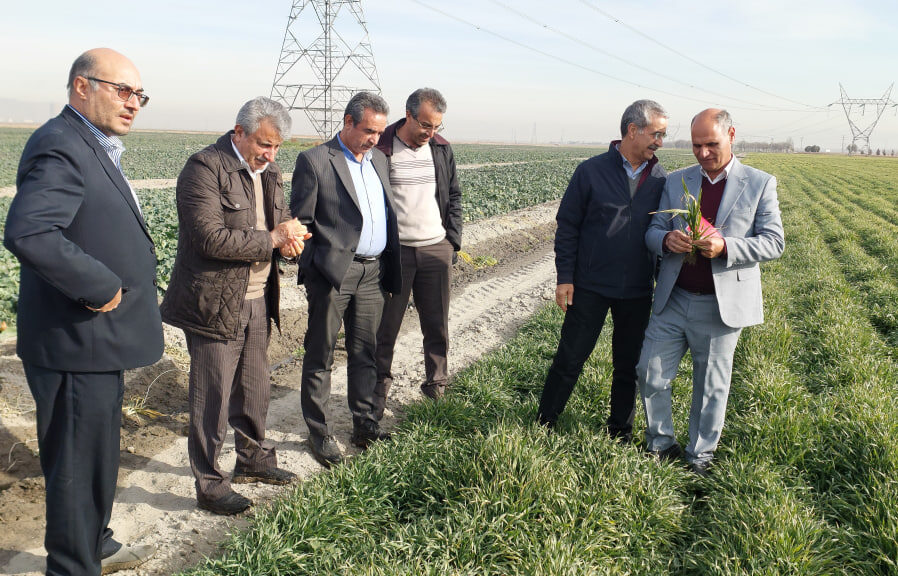 Photo 2024 01 31 10 29 45 e1706698421436