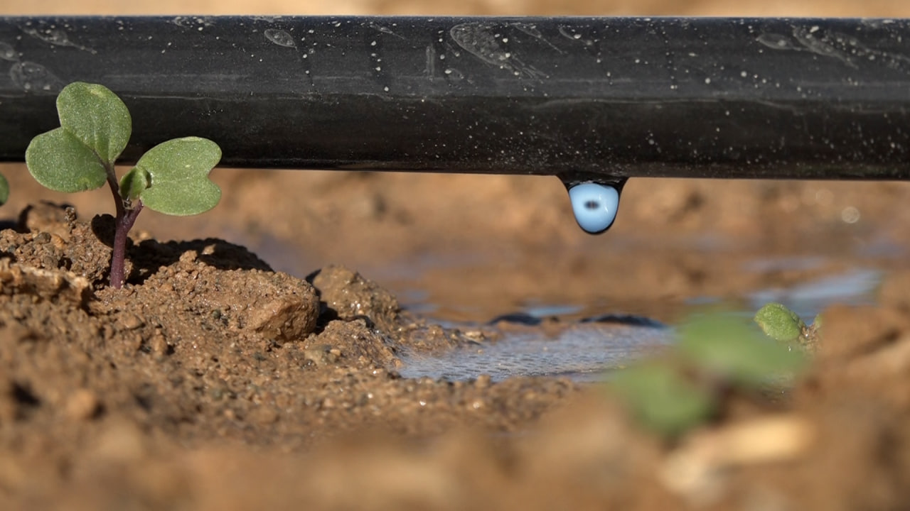 Photo 5 2024 01 16 11 35 49