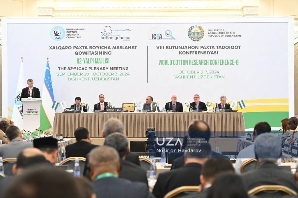 Photo 2024 10 23 11 32 08