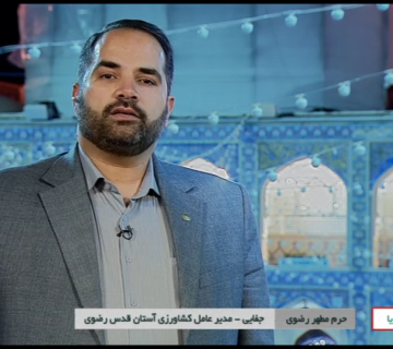 Screenshot 65 360x320