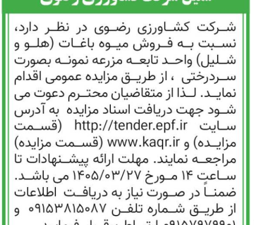  هلو و شلیل 360x320