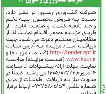  پنبه تخم 360x320