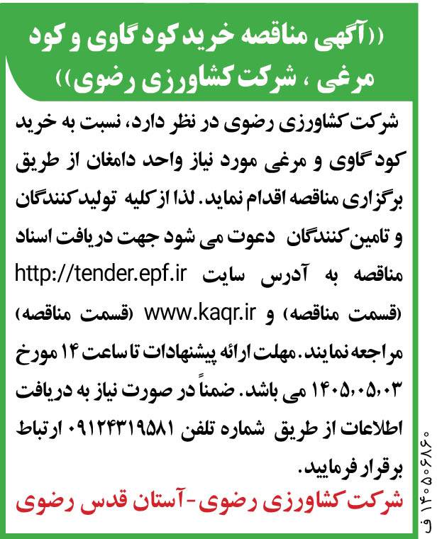 مناقصه