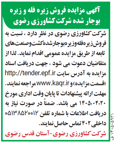  زیره
