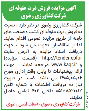  ذرت علوفه