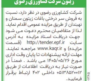  زیتون 360x320
