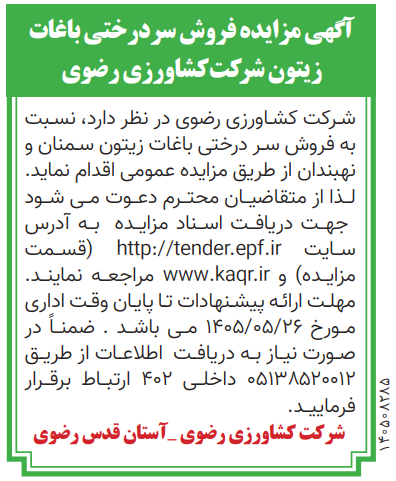  زیتون