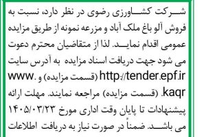 آگهی