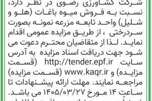 آگهی ها2
