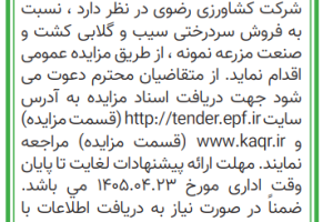 آگهی__سیب_و_گلابی