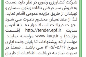 آگهی_زیتون