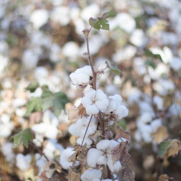 photo_5_2025-11-19_14-00-09